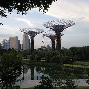 Gardens by the Bay