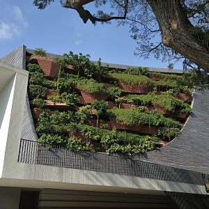 Natural History Museum