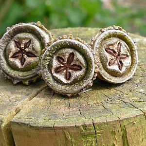 Eucalyptus seed pods, April 2019