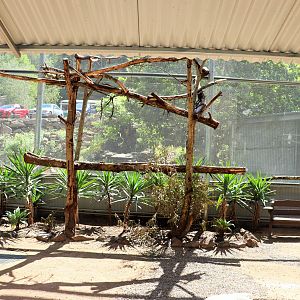 Australian Aviary