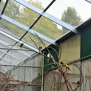 Small Parrot Aviary