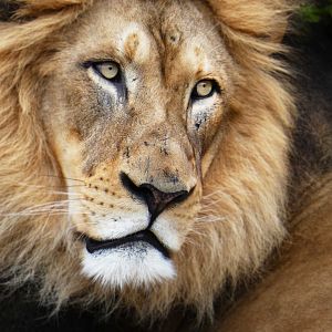 Apr. 2019 - Africa - John