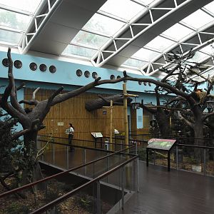 Red panda enclosure