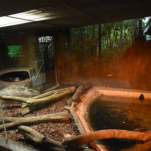 Anaconda enclosure
