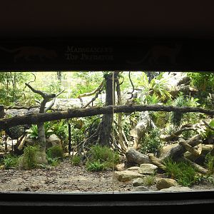 Fossa enclosure