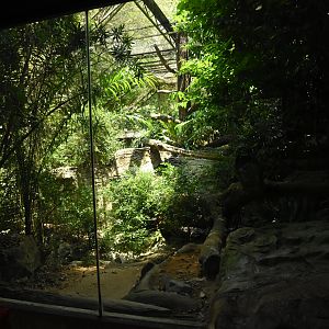 Leopard enclosure