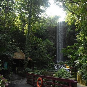 Waterfall aviary