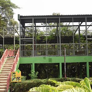 Bird-of-paradise aviary