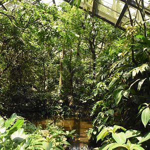 Wings of Asia freeflight