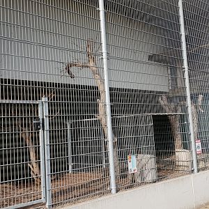 Owl and bird-of-prey aviaries