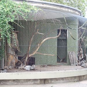 Kea-aviary