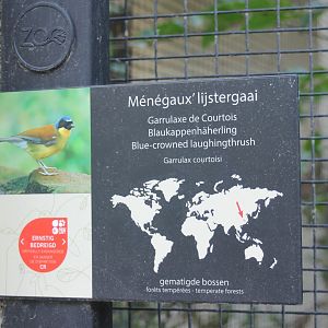 Sign Blue-crowned laughing-thrush