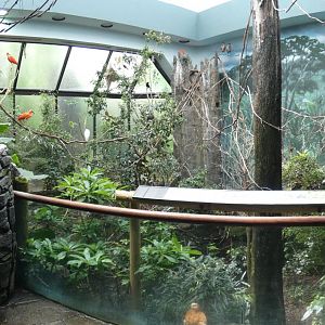 Apr. 2019 - Wings of the World - South America Panorama