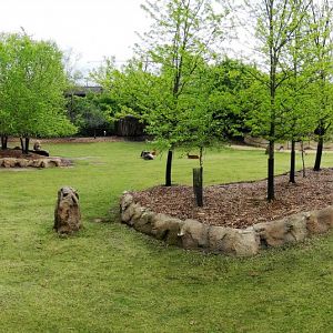 Apr. 2019 - Africa - African Plains (11 Species)