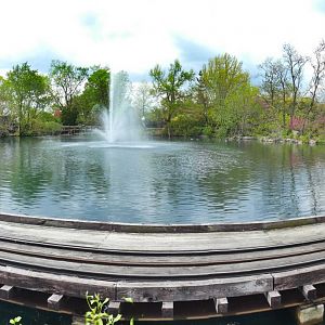 Apr. 2019 - Swan Lake Panorama