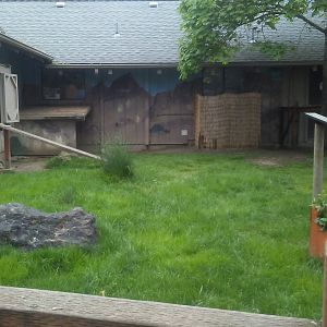 Kirk's dik-dik exhibit