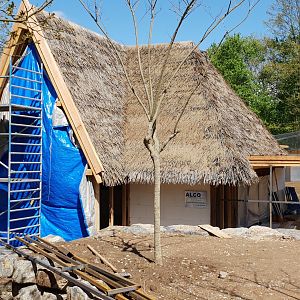 Construction SavannaLodge