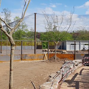 Construction new Flamingo-aviary