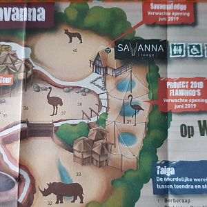 Plan location new SavannaLodge and new Flamingo-aviary