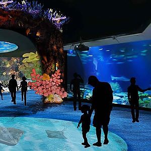 The Wild Reef | Zoo Tours