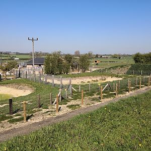 Tapir and capybara paddocks
