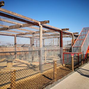 Yard connected to the lion trailer