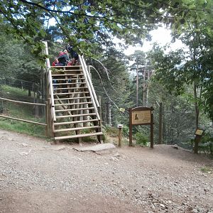 Northern lynx exhibit- Lacuniacha