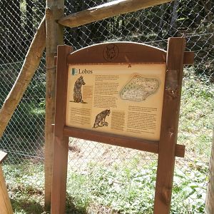 Iberian wolf sing- Lacuniacha