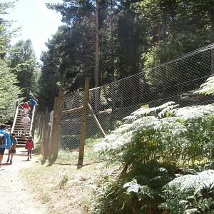 Iberian wolf viewing point- Lacuniacha