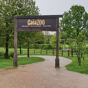 Pathway towards entrance