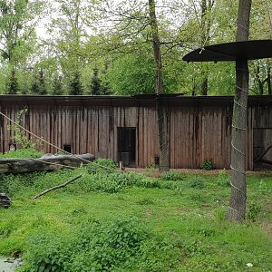 Barbary macaque-indoor-enclosures