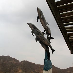 dolphin statue