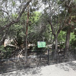 Mexican wolf exhibit