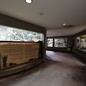 Tropical America building