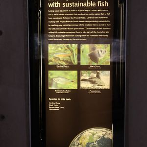 sustainable aquarium sign