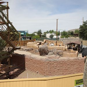 Construction (Chihuahua exhibit)