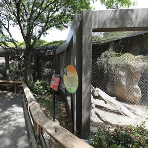 Amur leopard exhibit (small)