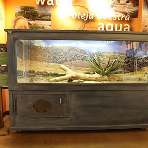 black footed ferret exhibit