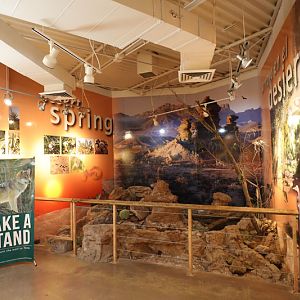 children's discovery center