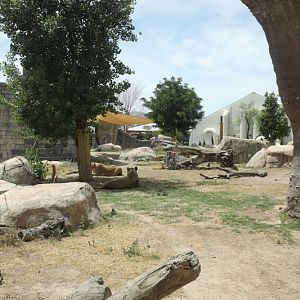 lion exhibit and event pavillion