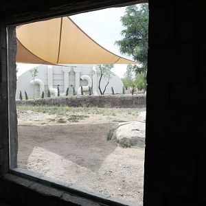 lion viewing window and event pavillion