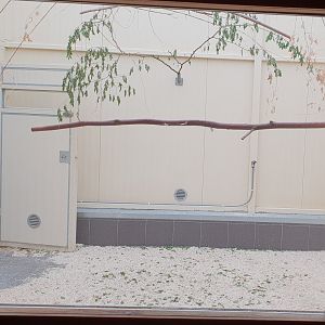 Indoor-enclosure Vreemde Vogels Voliere