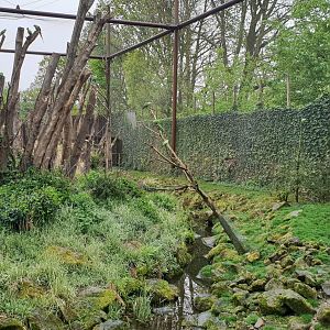View into the Vreemde Vogels Voliere