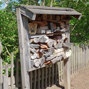 Insect hotel