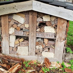 Insect hotel