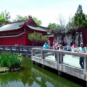 Apr. 2019 - China - Waterfowl Pond