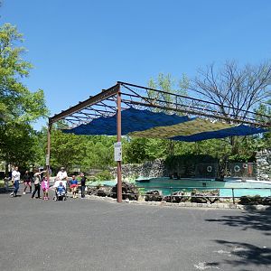Apr. 2019 - 1930's American White Pelican Pool (Former Sea Lion Exhibit)