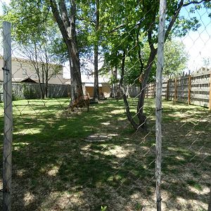 Apr. 2019 - Zambezi River Hippo Camp - Nyala Exhibit