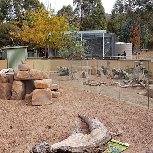 Meerkat enclosure