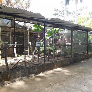 Enclosure row for monkeys and parrots